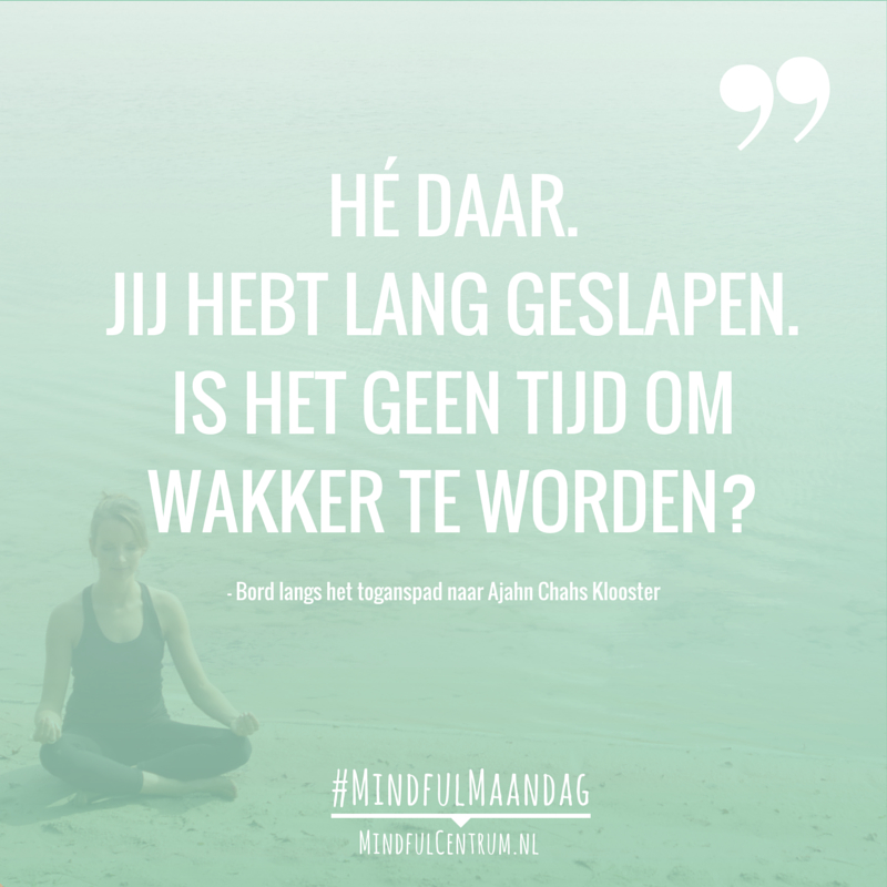 Mindful Maandag 160222 Mindful Maandag 160222